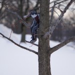 Miniature Wooden Figures in The Street_2