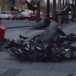 Paris in 3 Minutes Hyperlapse_6