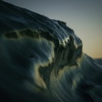 Light Folds - Ray Collins