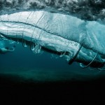 Beneath The Vortex - Ray Collins