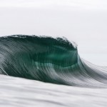 RayCollins13