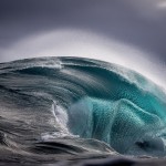 Sea Monster - Ray Collins