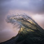 Light Burst - Ray Collins