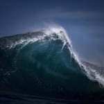 Fang - Ray Collins
