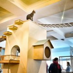 SPLINTR-MaisonDeMoggy-Cat-Cafe-0