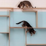 SPLINTR-MaisonDeMoggy-Cat-Cafe-1