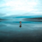 Siberian Husky On A Frozen Lake_7