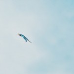 Ski Jumpers Flying Through The Air_0
