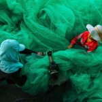 Smithsonian Photo Contest Finalists 2015_0 Smithsonian Photo Contest Finalists 2015_0
