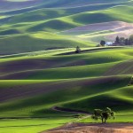 Smithsonian Photo Contest Finalists 2015_14 Smithsonian Photo Contest Finalists 2015_14