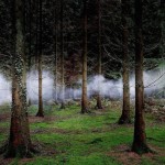 Smithsonian Photo Contest Finalists 2015_18 Smithsonian Photo Contest Finalists 2015_18