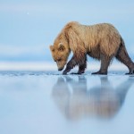 Smithsonian Photo Contest Finalists 2015_9 Smithsonian Photo Contest Finalists 2015_9