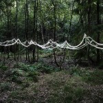 The Art of Forest_3