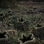 The Art of Forest_4
