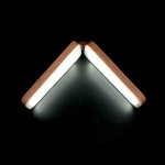 The Folding Light_0