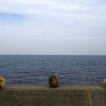 Cats sit on a wall overlooking the sea on Aoshima Island in Ehime prefecture in southern Japan