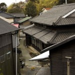 A cat struts along an alley on Aoshima Island in the Ehime prefecture in southern Japan