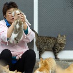 Village nurse and Ozu city official Atsuko Ogata holds a cat on Aoshima Island in Ehime prefecture in southern Japan