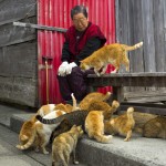 Cats surround a local woman on Aoshima Island in Ehime prefecture in southern Japan