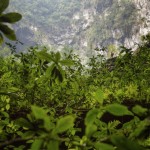The Largest Cave in the World_4
