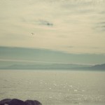 The Last Free Place in America_1