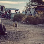 The Last Free Place in America_9