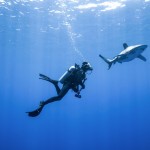 The Shark Anger Documentary_8