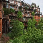 Urban Treehouse Protect from Air and Noise Pollution_3