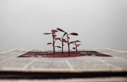 Cutting Paper Trees from Newspapers