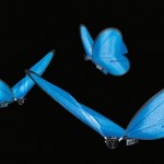 dronebutterfly-0