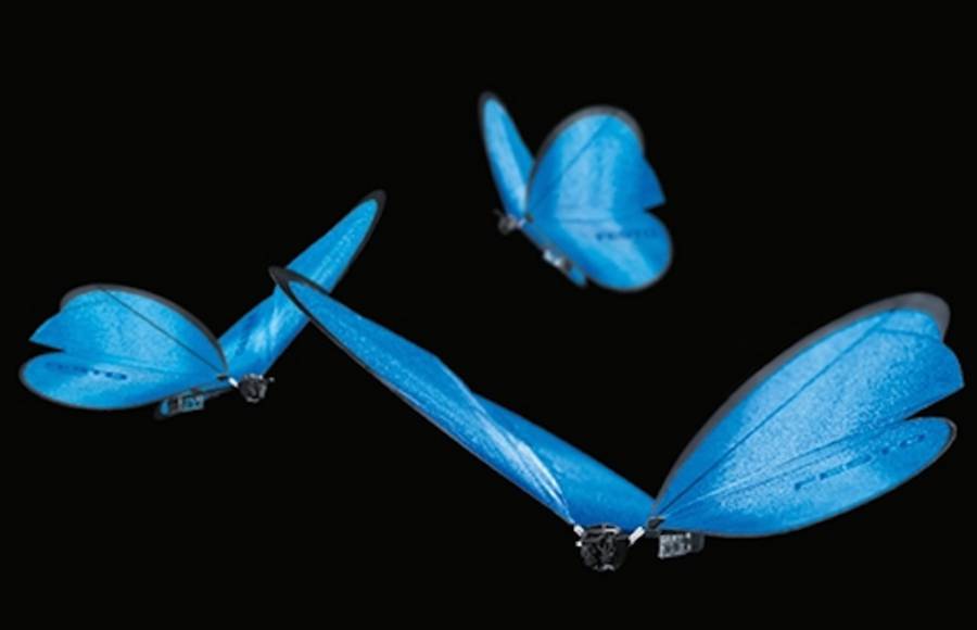 Drones of Blue Butterflies Army