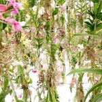 floatingflowersgarden-2
