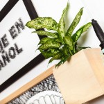 masquespacio_2day_languages_cualiti-18