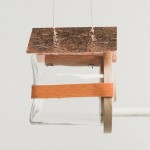 olibird-4