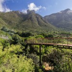 tree-canopy-walkway-path-kirstenbosch-national-botanical-garden-2
