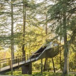 treesnakehouse-1