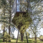 treesnakehouse-12