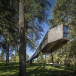 treesnakehouse-13
