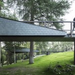 treesnakehouse-15