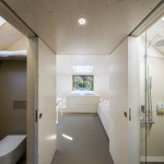 treesnakehouse-2