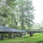 treesnakehouse-8