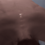 vignemont-10