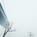 A Journey in the Streets of New-York-5
