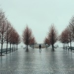 A Journey in the Streets of New-York-6