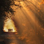 Into  the Light - Gasselte, The Netherlands