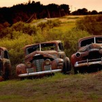 Car Graveyards Photography-10