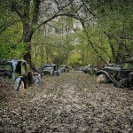 Car Graveyards Photography-12