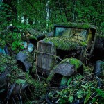 Car Graveyards Photography-17
