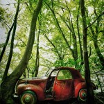 Car Graveyards Photography-2