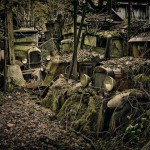Car Graveyards Photography-4